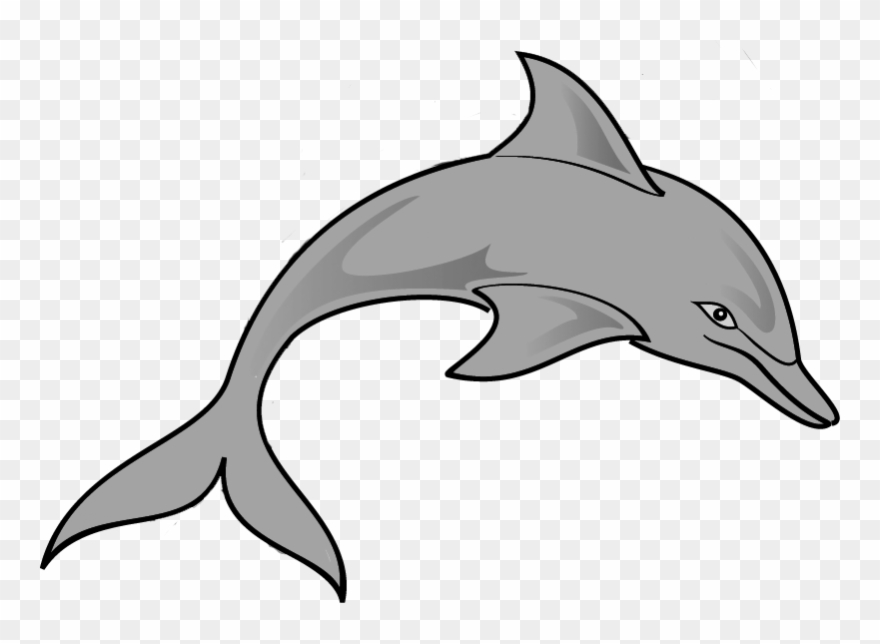 Free Dolphin Clipart Image - Png Download