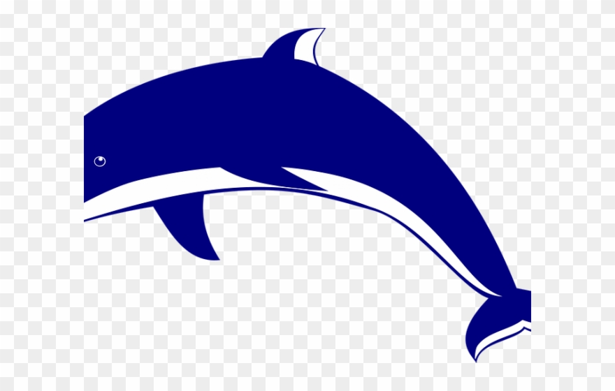 Dolphin Images Free Clipart