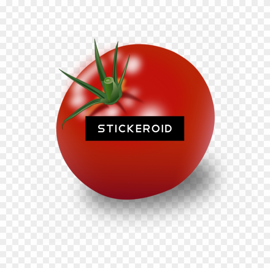 Tomato Clip Art Cartoon - Png Download