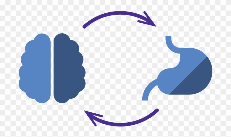 Gut Brain Axis Clipart