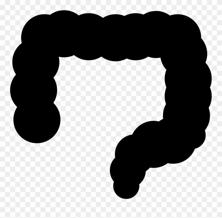 Big Intestines Comments Clipart