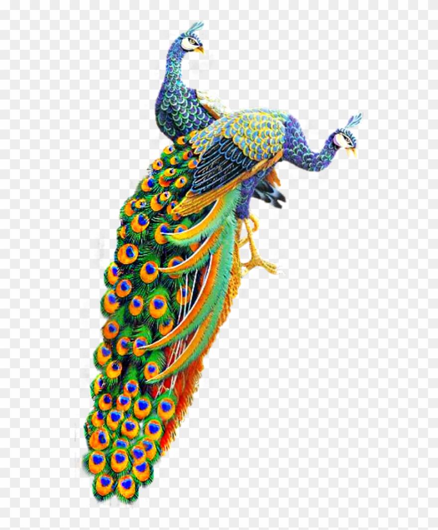 Tubes Oiseaux Feeriques Clip Art, Photoshop, Birds, - Png Download