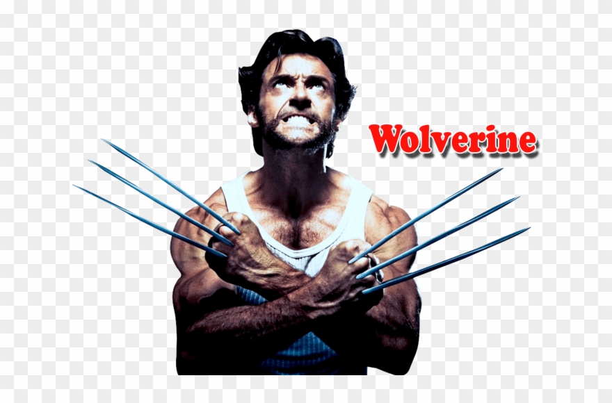 Free Png Download Wolverine Clipart Png Photo Png Images Transparent Png