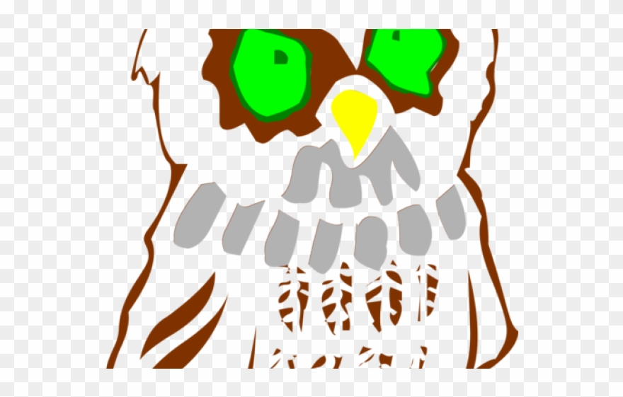 Barred Owl Clipart Desert Owl - Png Download