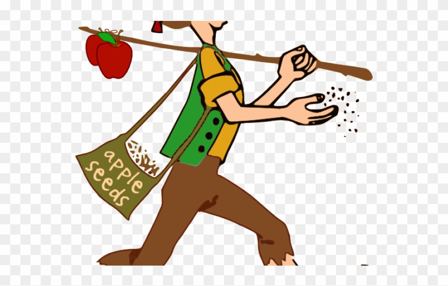 Seed Clipart Apple Seed - Png Download