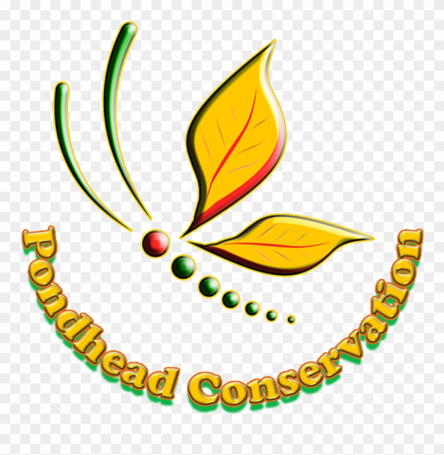 Rather Than Follow The Herd, We Have Decided Upon Burgundy Clipart