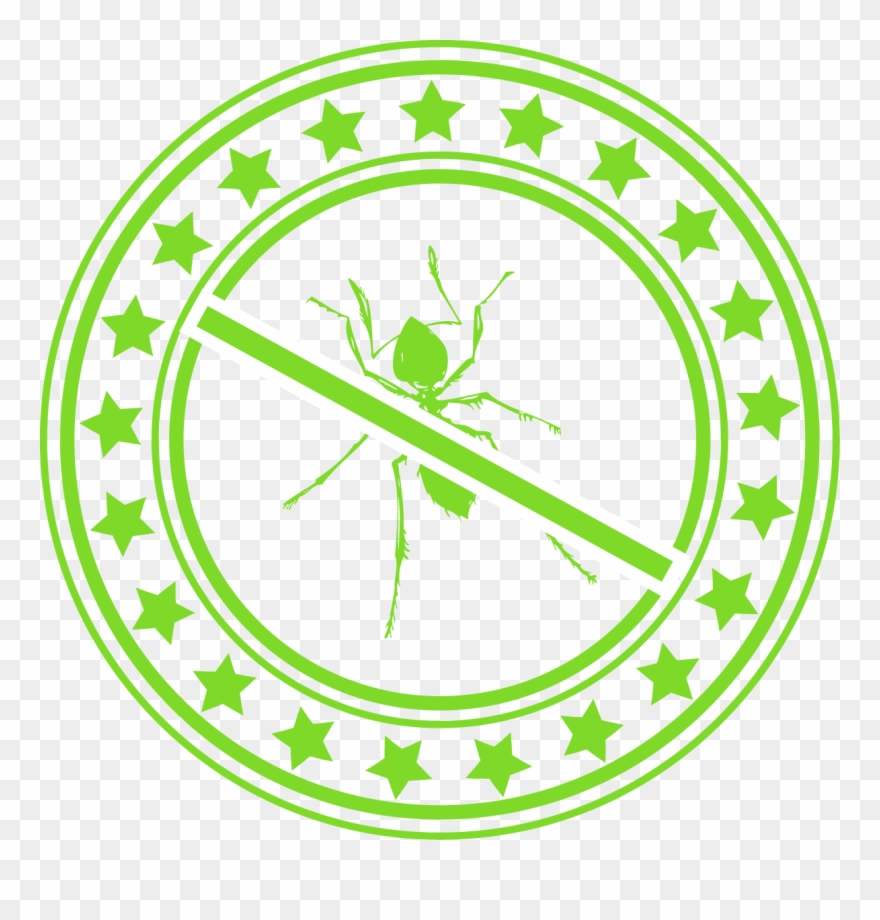 Green Circle With Star Border And A Green Ant With Clipart