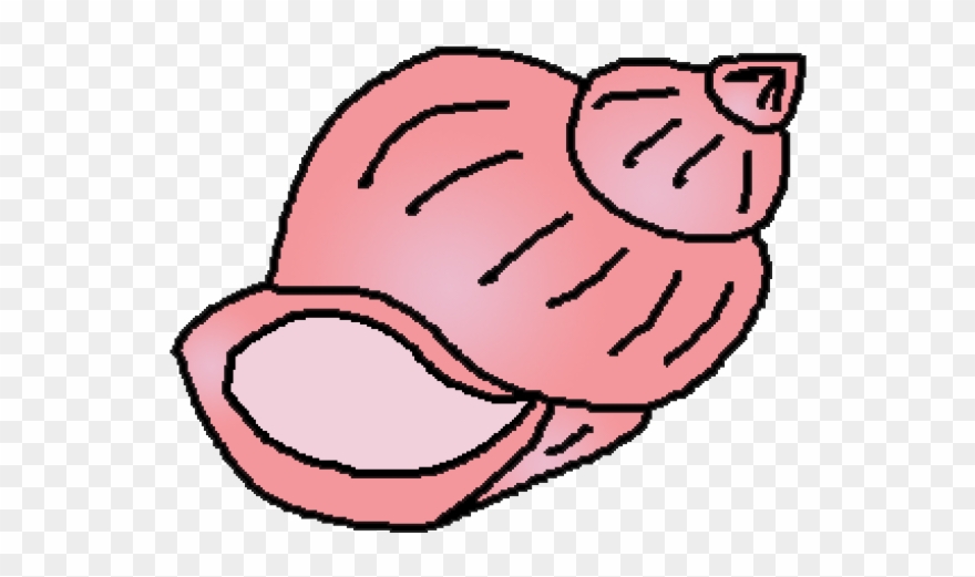 Shell Clipart Cartoon - Png Download