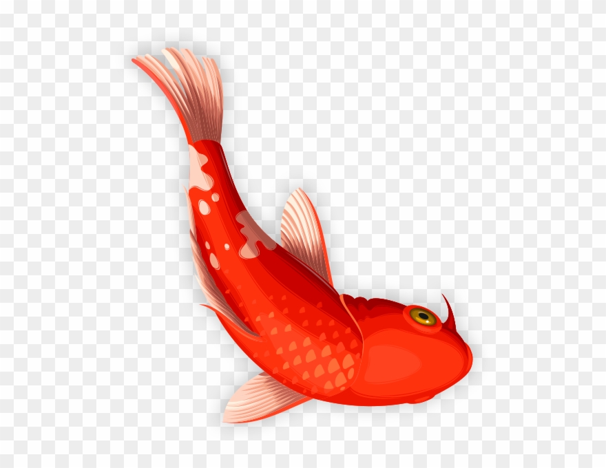 *valid For Departure Orders Only Clipart