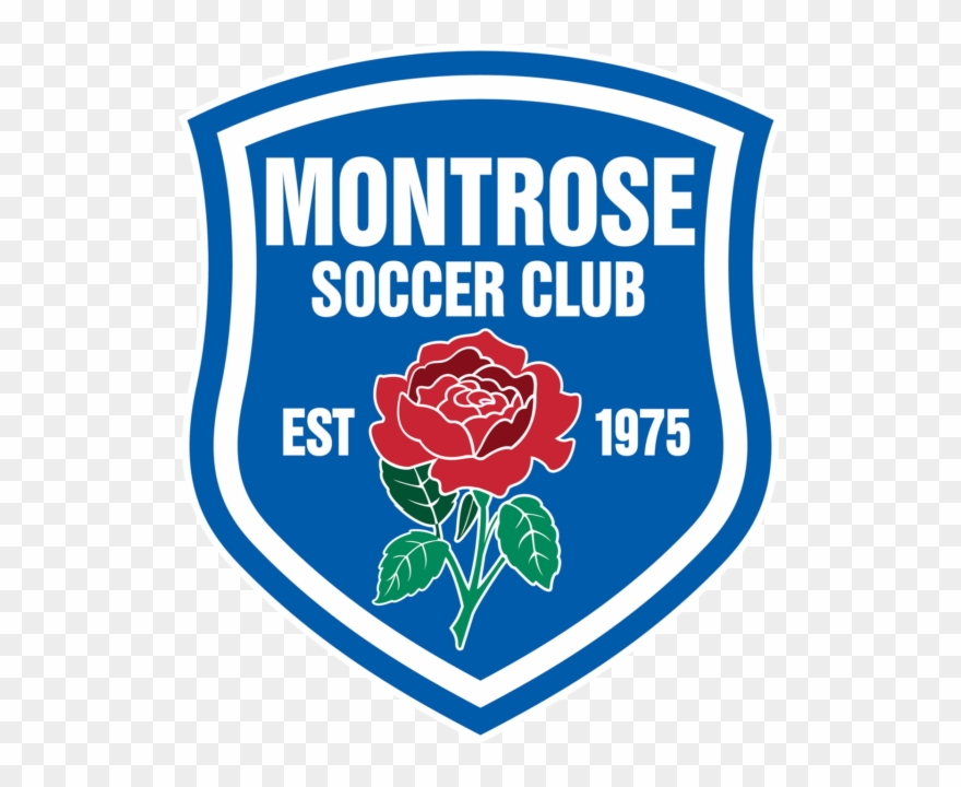 Junior Soccer Players Wanted Clipart