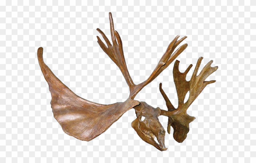 The Great American Stag Clipart