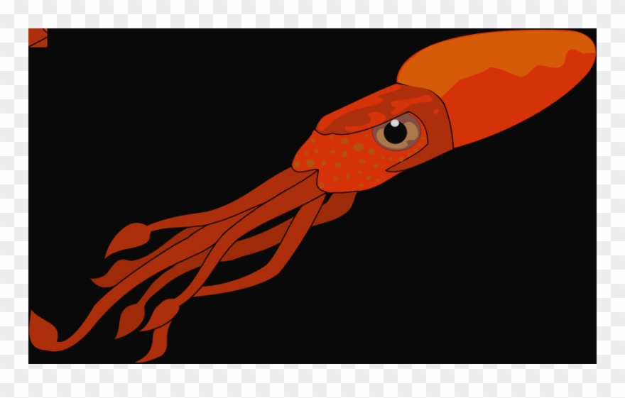 Squid Clip Art Free Clipart Images 2 Vampire Squid - Png Download