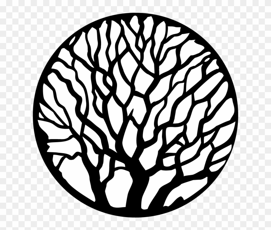 More Views - Tree - Bare Clipart
