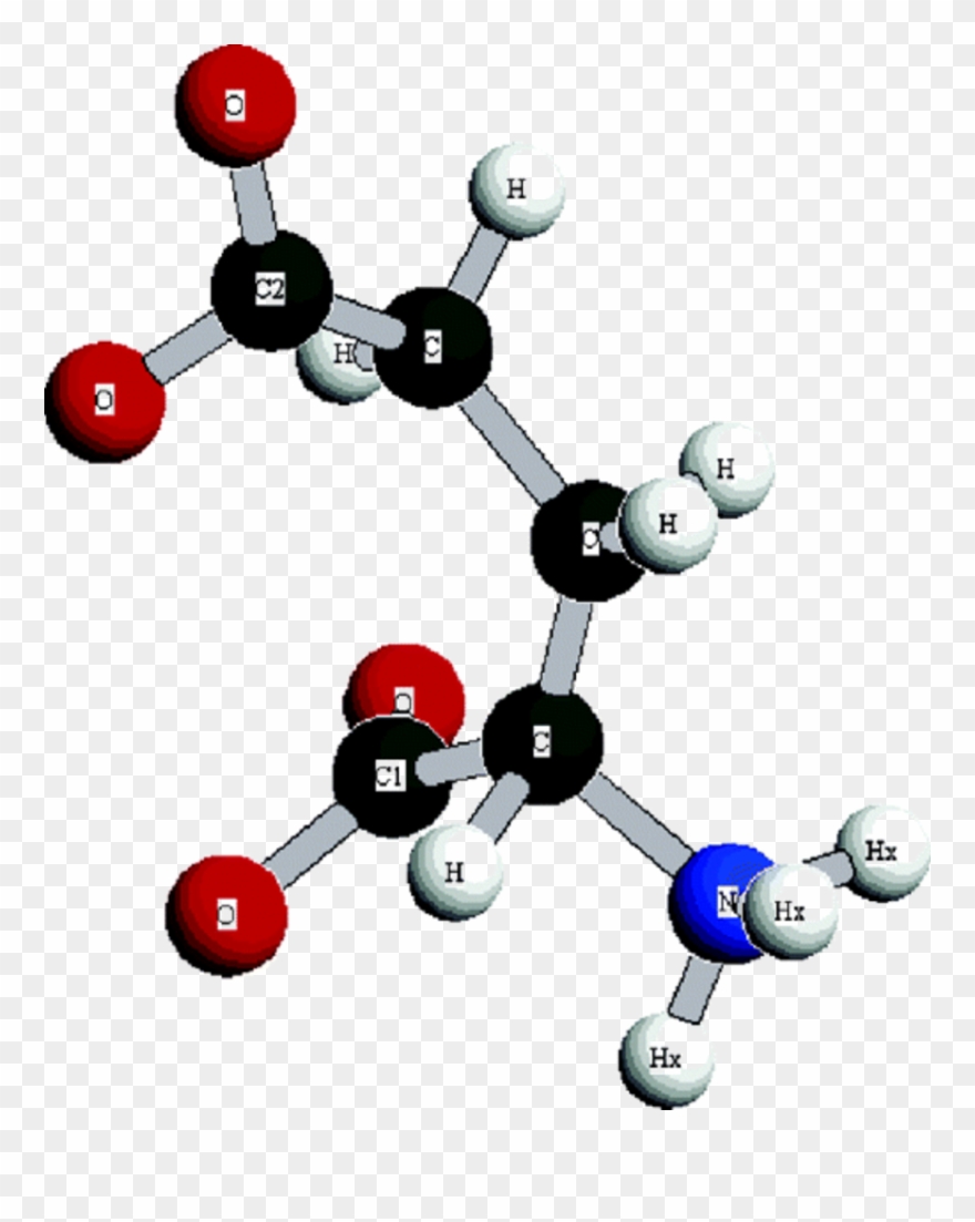 Molecular Structure Of L-glutamic Acid From The Epsr Clipart