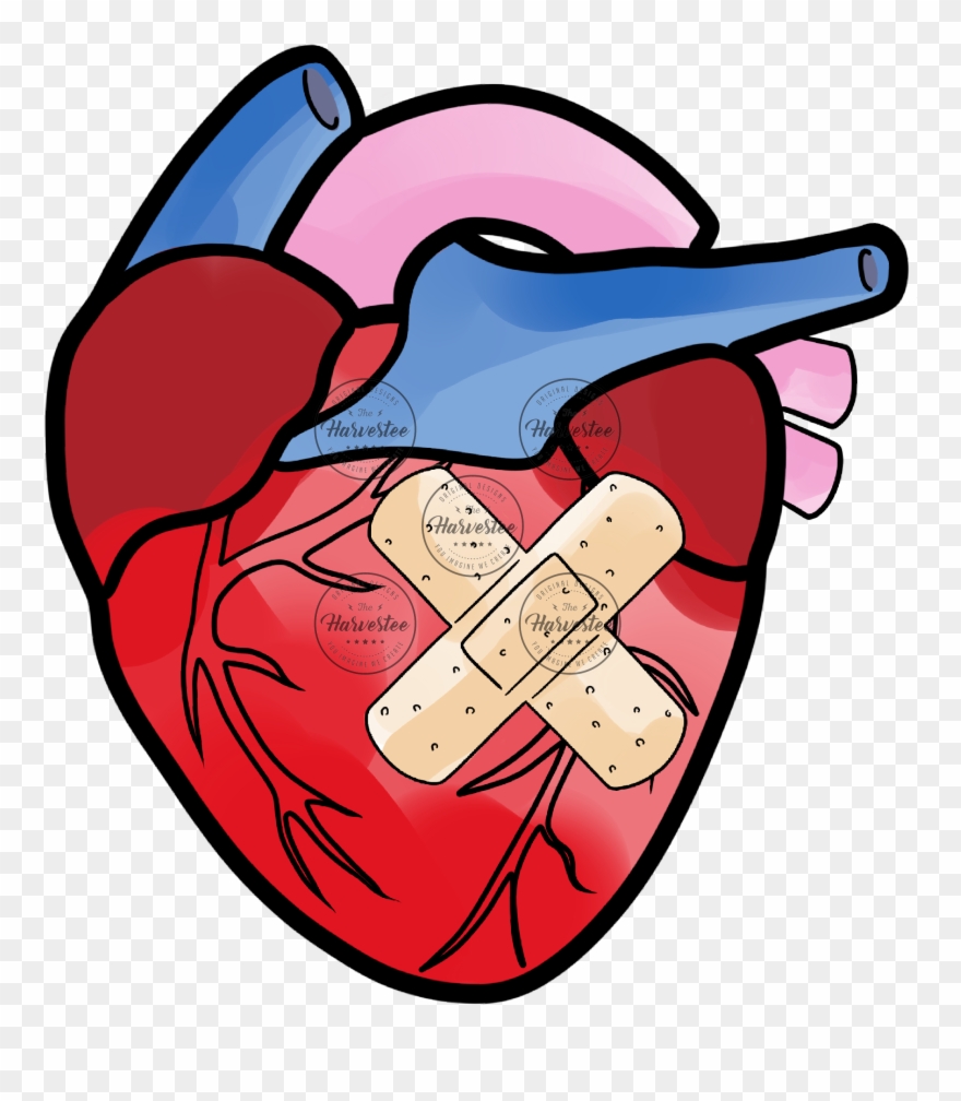 Corazón Luchador Clipart