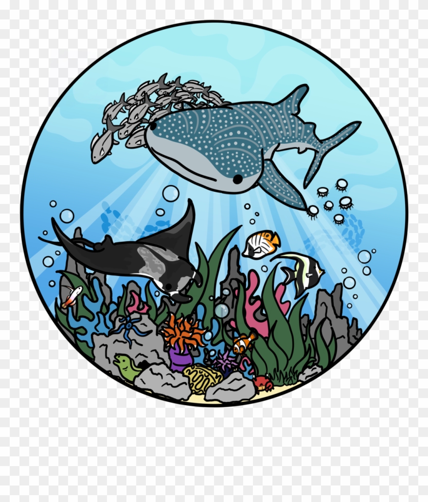 💙🐟🐋🐠💙 Clipart (#2865953) - PinClipart