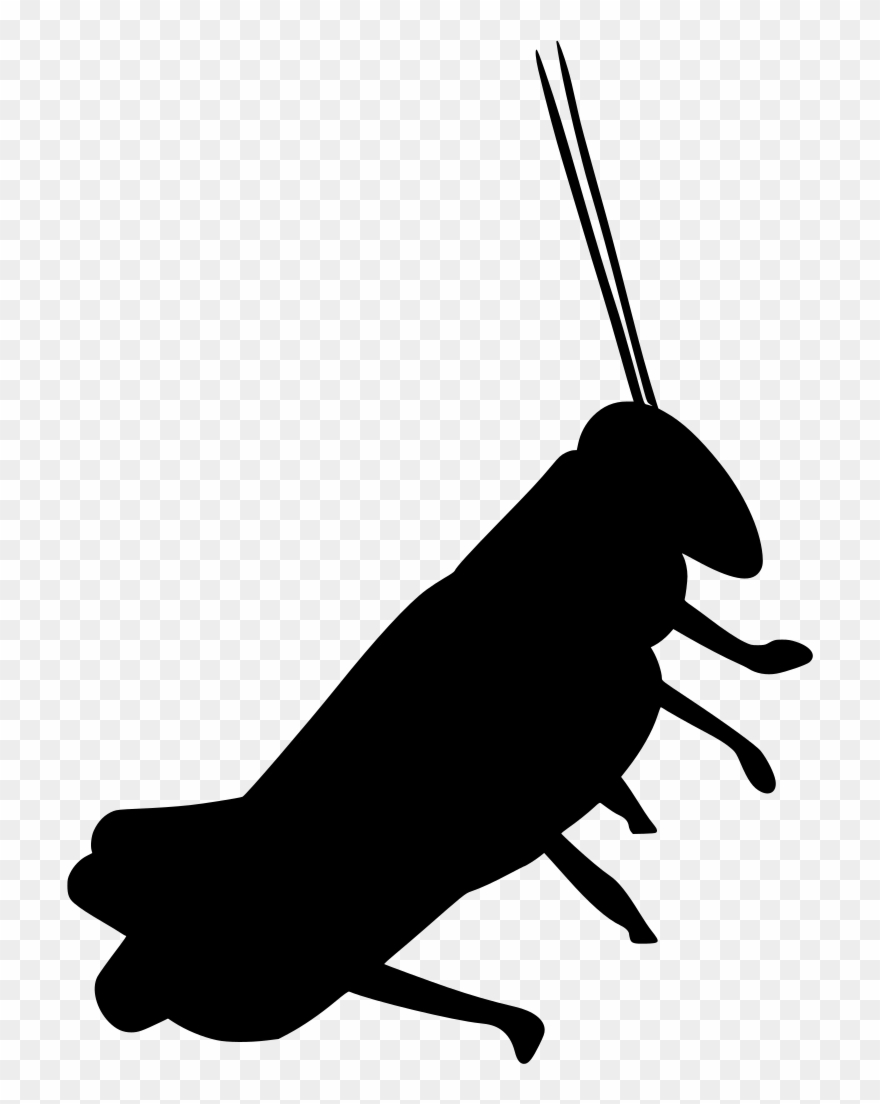 Info Clipart