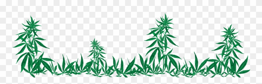 Rmc Trinidad Llama Rmc Grass Clipart