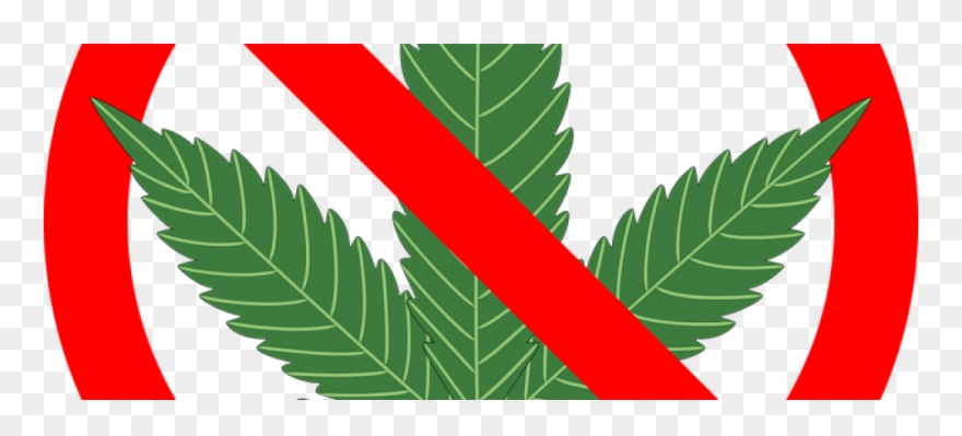 A Could Soon Be The Marijuana Capital Of The World Clipart