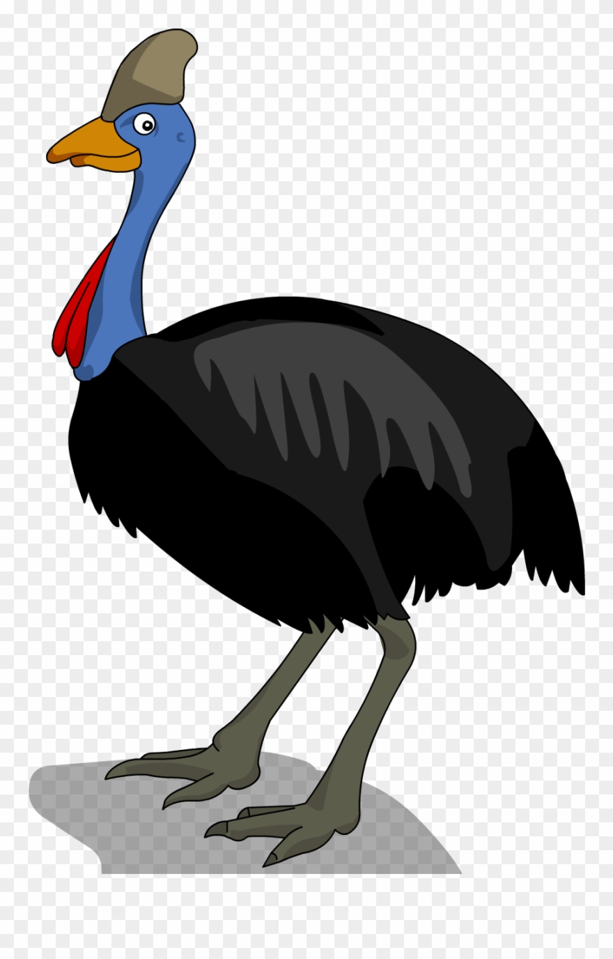 Image Freeuse Stock Collection Of Free Cassowaries Clipart