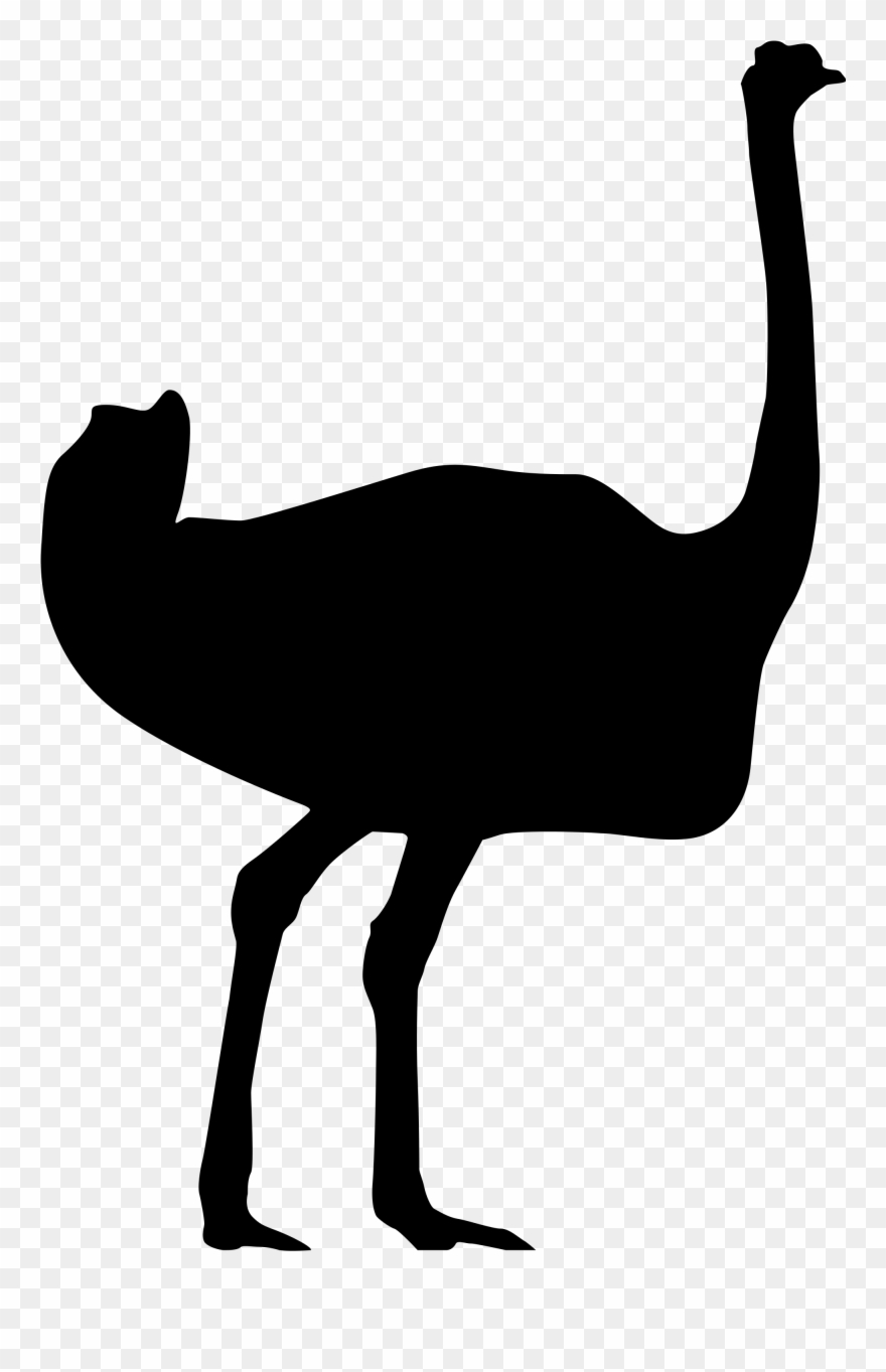 Ostrich Clipart Pixel - Png Download