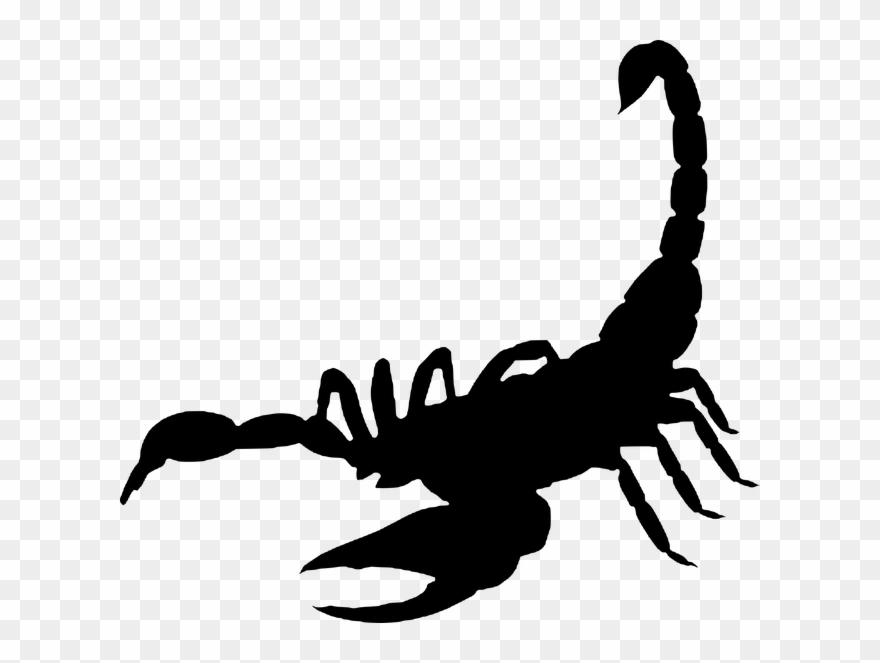 Read It Clipart