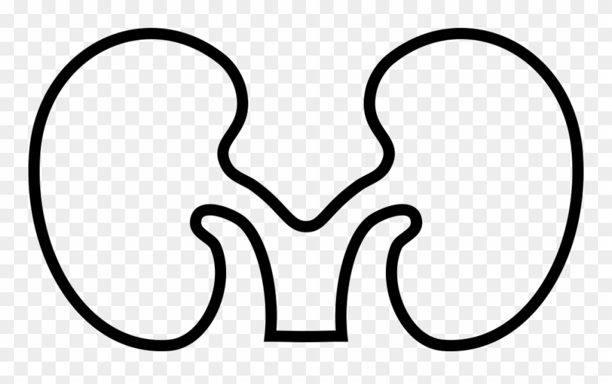 Font Kidney Comments Clipart