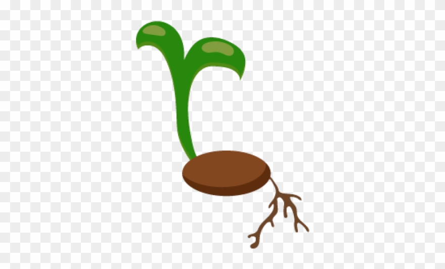 Seed Clipart Frijol - Png Download