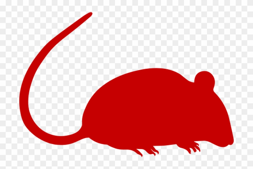 Rat Removal Clipart