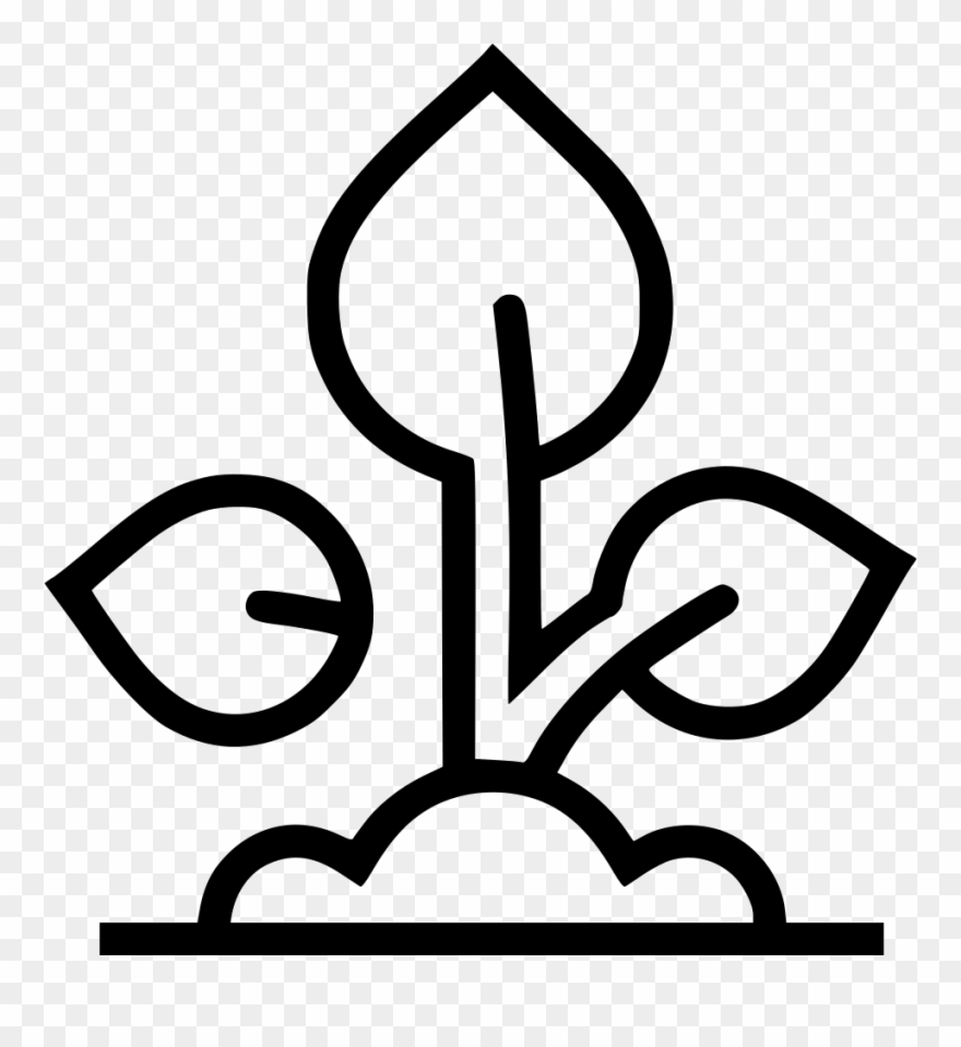 Plant Seedling Grow Comments Clipart