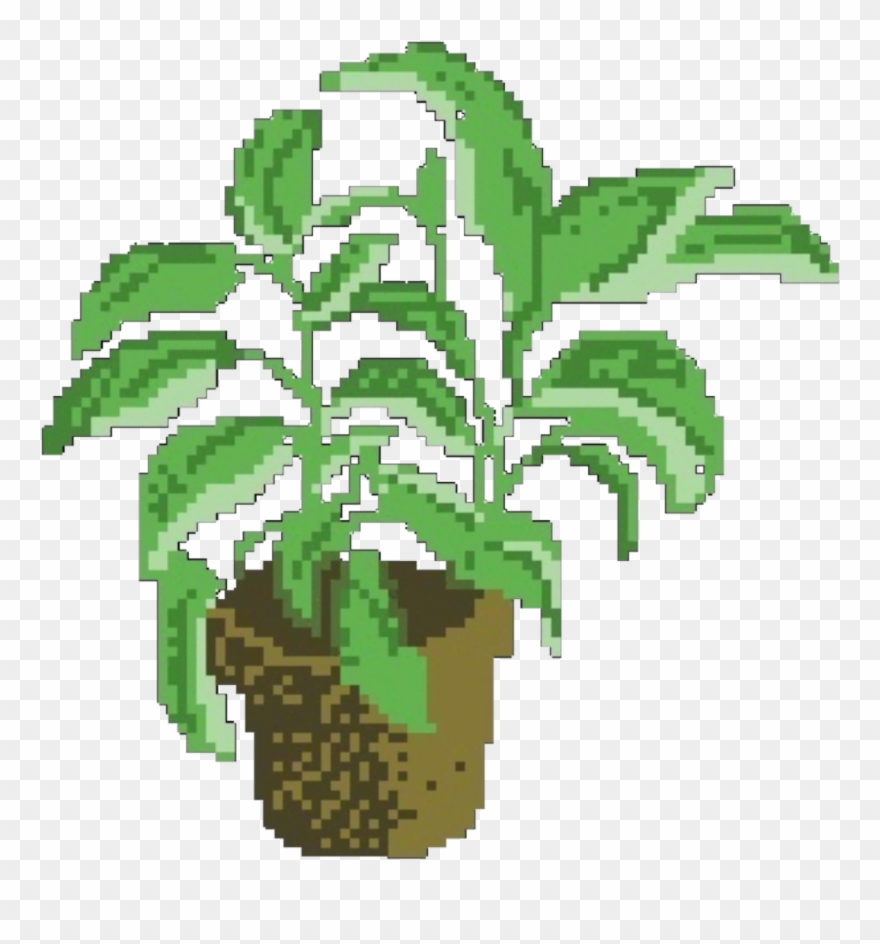 Download Hd Plants Aesthetic Transparent Background Clipart