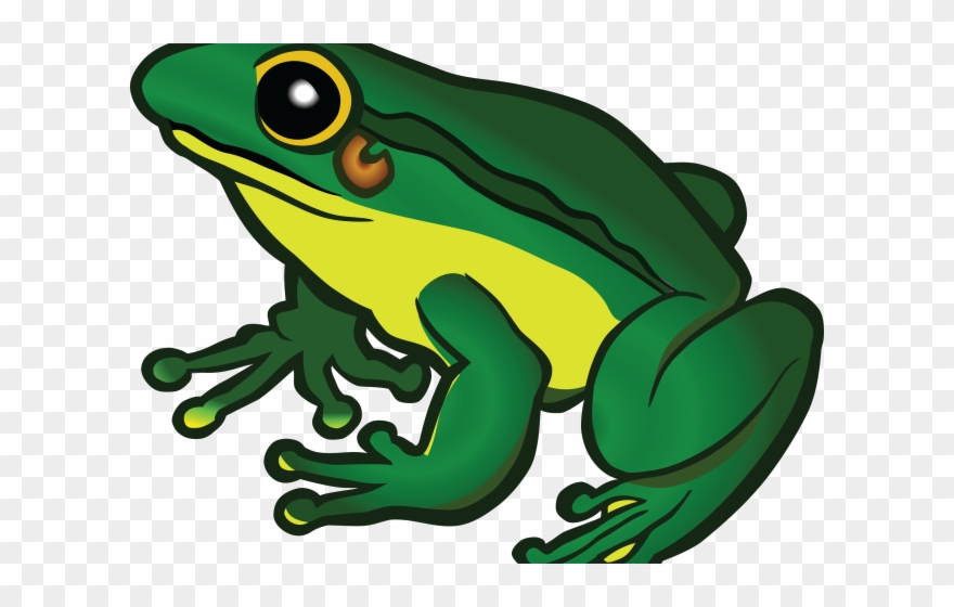 Tree Frog Clipart Clip Art - Png Download