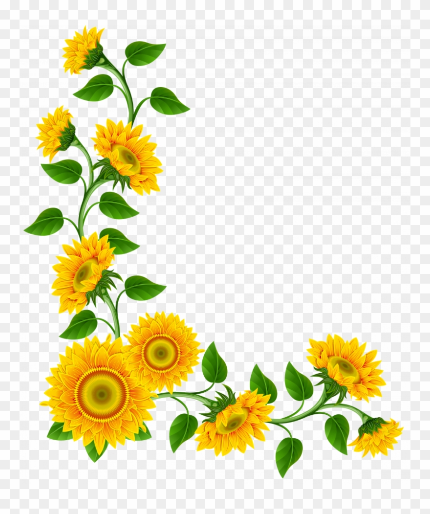 Sunflower Clipart Border Decoration Png Transparent Png