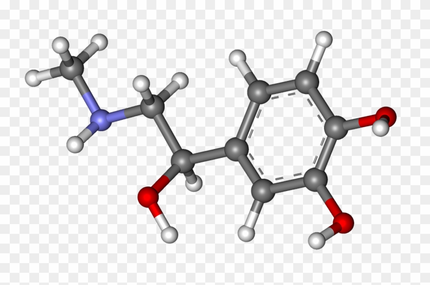 Walking Up To The Ring I Felt The Eyes Of The Crowd Clipart