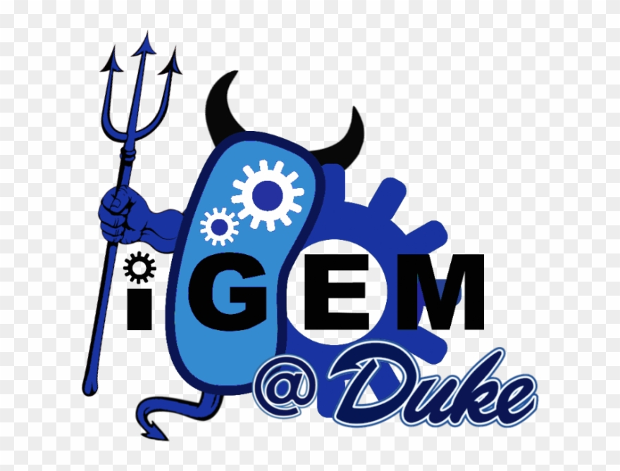 Student Team Members Have Varied Backgrounds In Biomedical Clipart