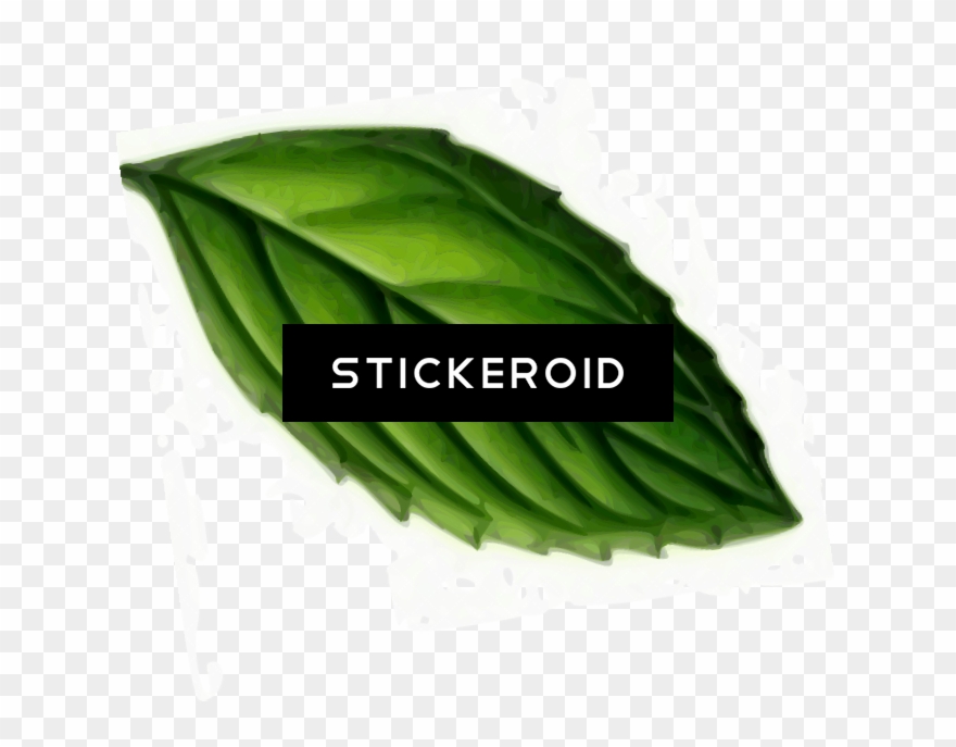 Mint High Quality Clipart