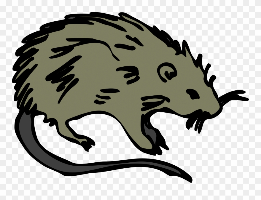 Dead Rat Clipart - Png Download