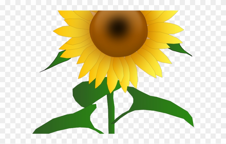 Sunflower Clipart September - Png Download