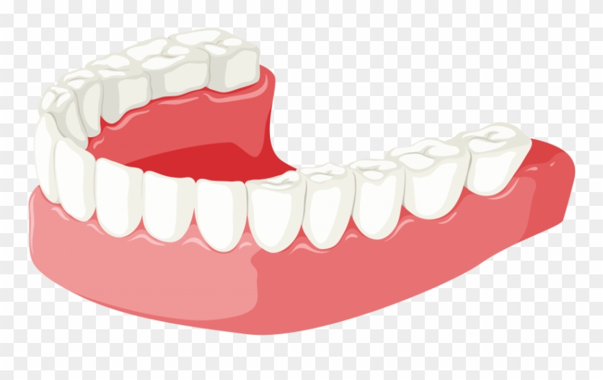 Free Png Download Lower Jaw Clipart Png Photo Png Images Transparent Png