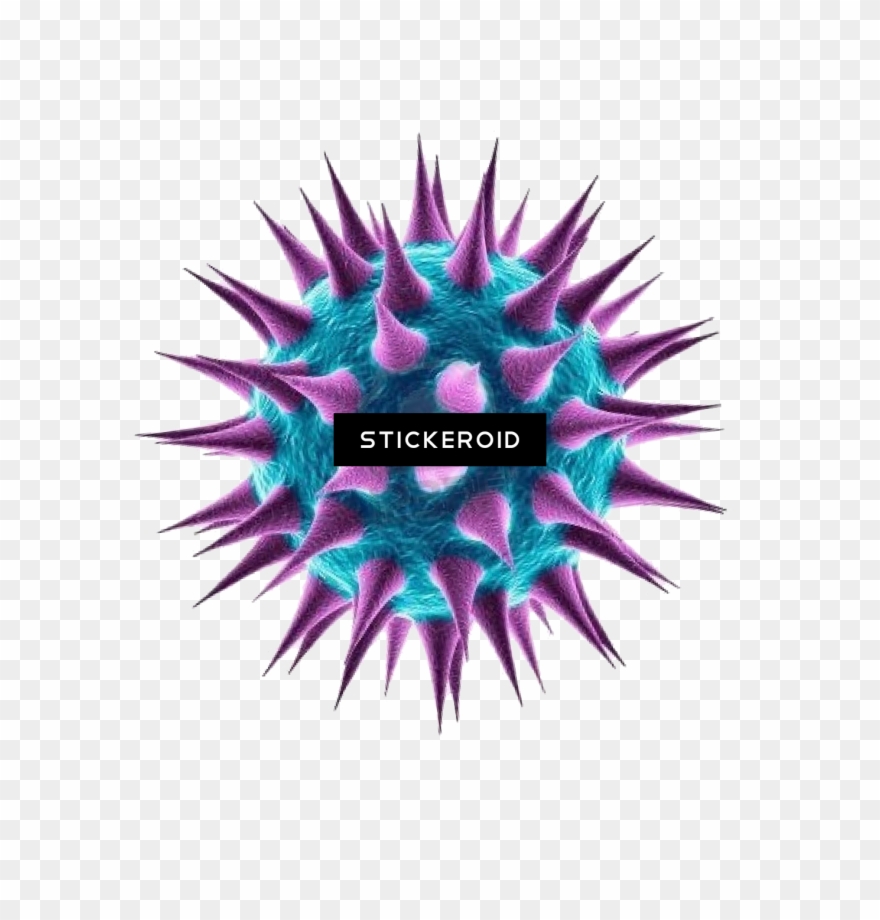Bacteria Clipart
