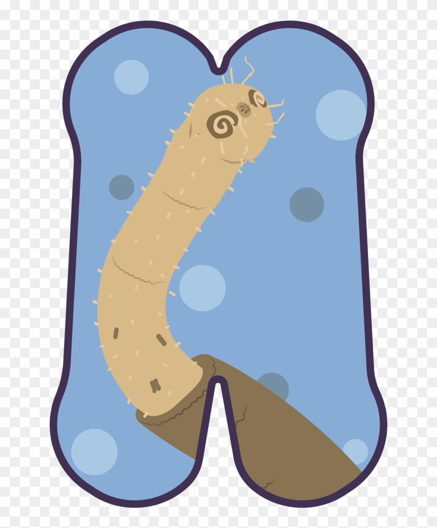 The Second Day Of The Microbial Advent Calendar And Clipart