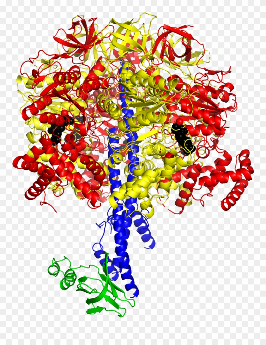 Professor John Walker And His Colleagues Have Solved Clipart