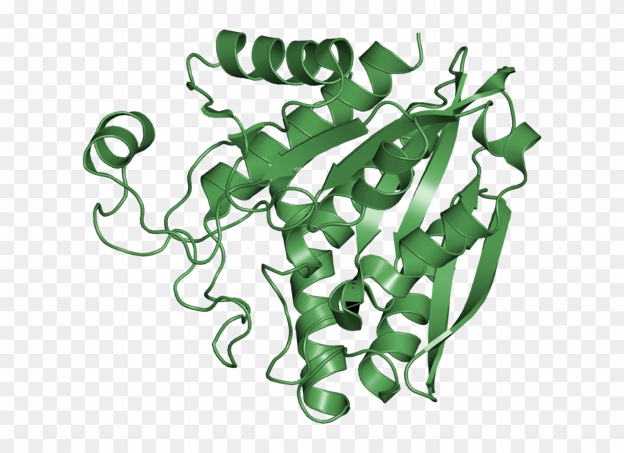 <div Class='caption-body'>1 Copy Of Scop Domain < Clipart
