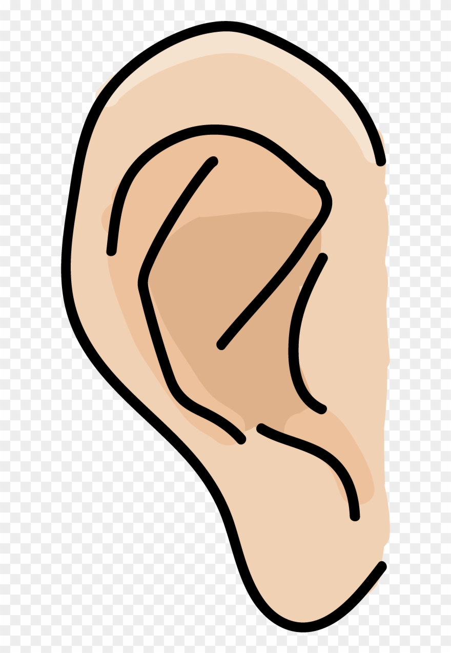 Instructional Infographics Kinesthetic Visual Clipart