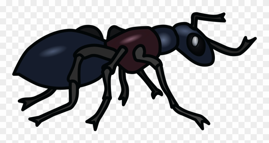 Free Clipart Of An Ant - Png Download