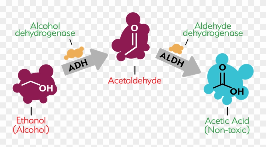 0 Replies 0 Retweets 0 Likes Clipart