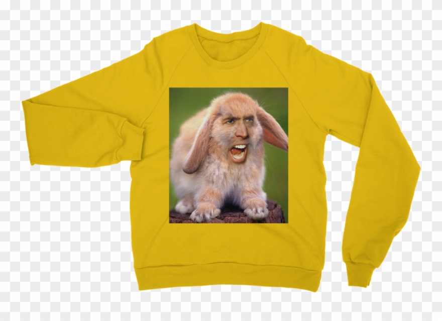 Nicolas Cage Orangutan Png Clipart