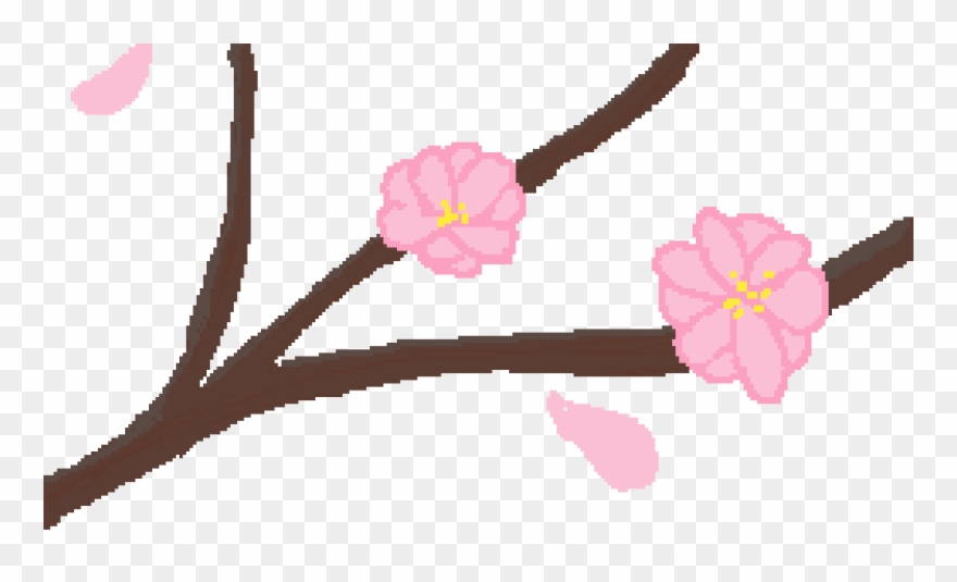 Cherry Blossoms Clipart