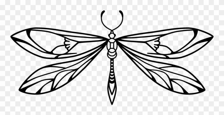 Home - Shop Clipart