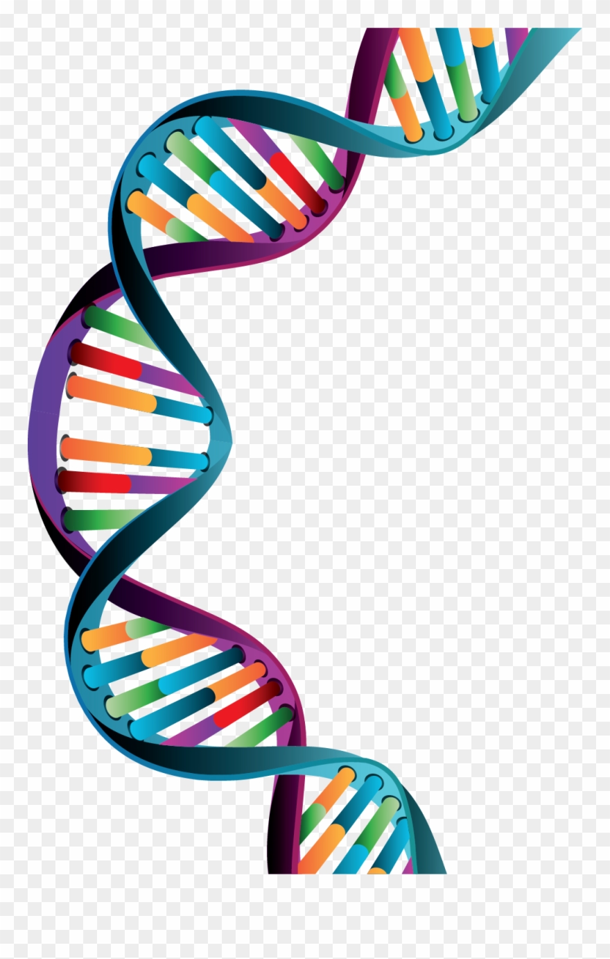 Click The Button Below And Get Booked Today For Your Clipart